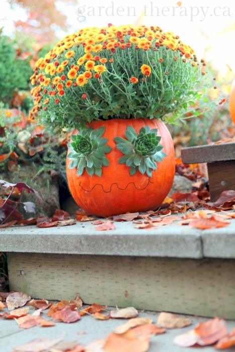 carved Halloween pumpkin planter idea