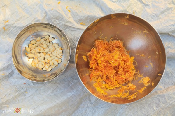 a bowl of pumpkin seeds next to a bowl of pumpkin flesh