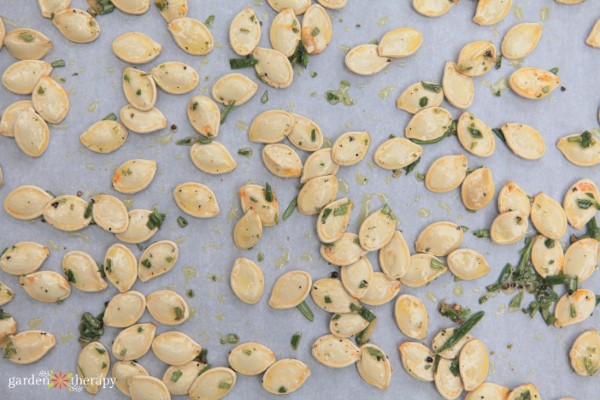 rosemary pumpkin seeds spread out on a pan, ready for roasting