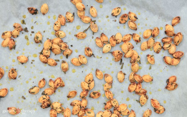 roasted rosemary pumpkin seeds on a pan, fresh from the oven