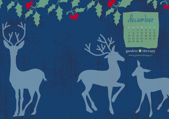 Garden Therapy Winter Woodland Calendar December-8x10