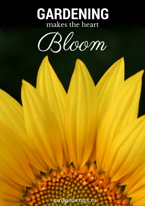 Gardening makes the heart bloom - Best of gardentherapy.ca