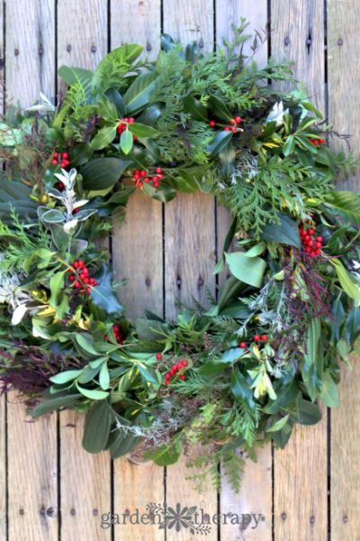 How to make an evergreen wreath