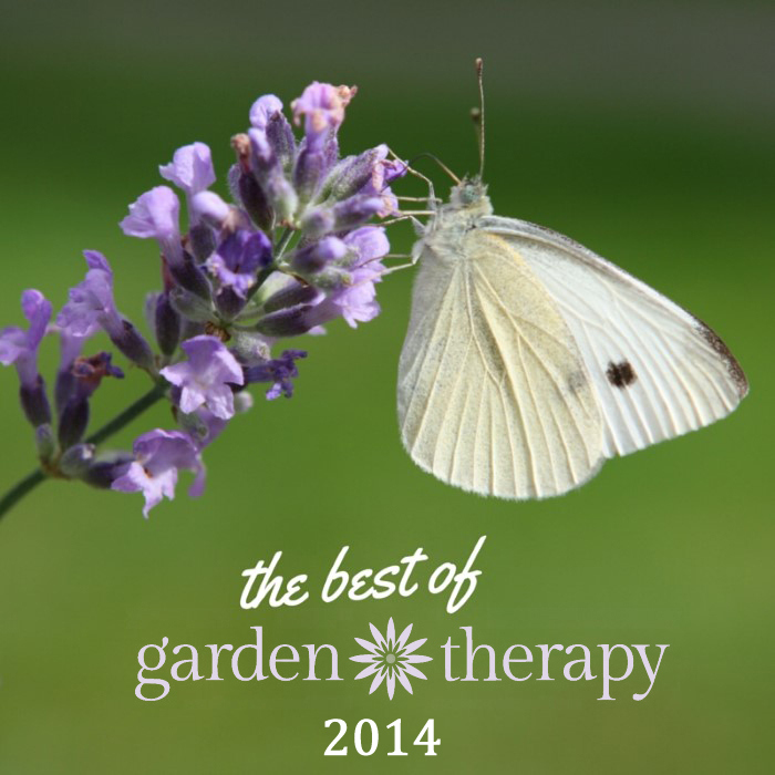 the best of garden therapy www.gardentherapy.ca for 2014