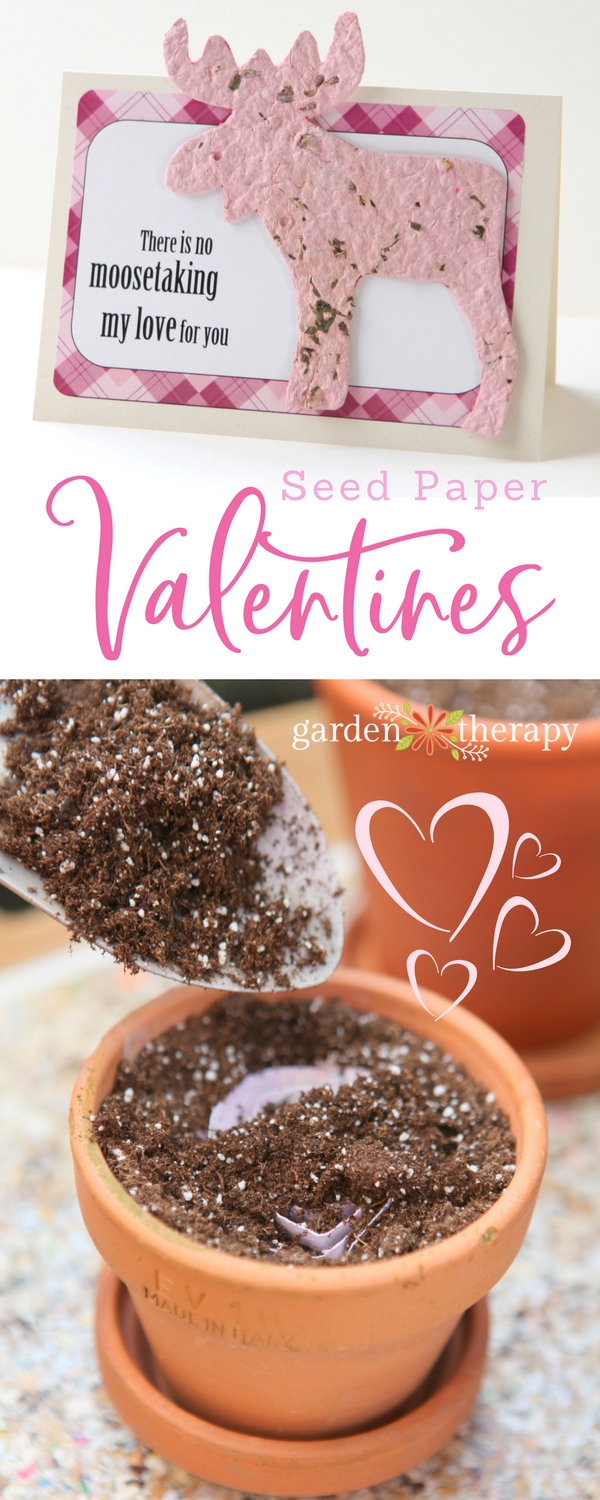 Valentines That Grow! Seed-Paper Valentine's Day Cards - Garden Therapy