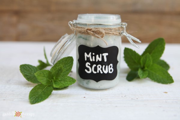 peppermint foot scrub