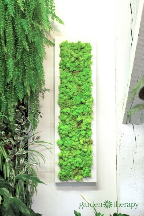 Moss Wall Art in long white frame from ByNature Studio Tour