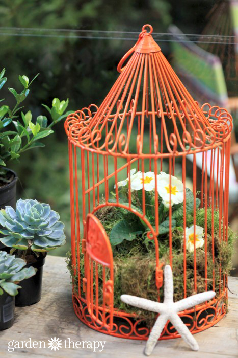 Seaside Birdcage planter from the Blue Greenhouse Seaside Garden Design Feature