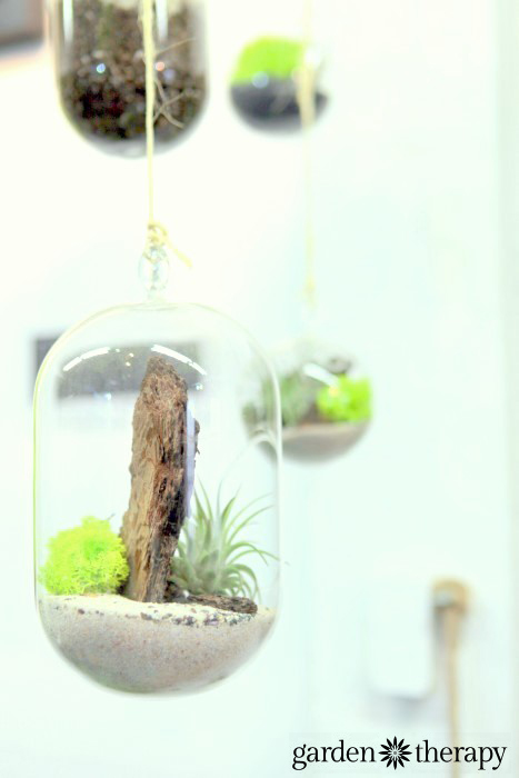 hanging terrariums with reindeer moss, air plants and bark from ByNature Studio Tour