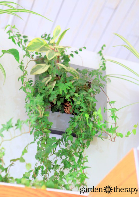 A thriving living wall planter from ByNature Studio Tour