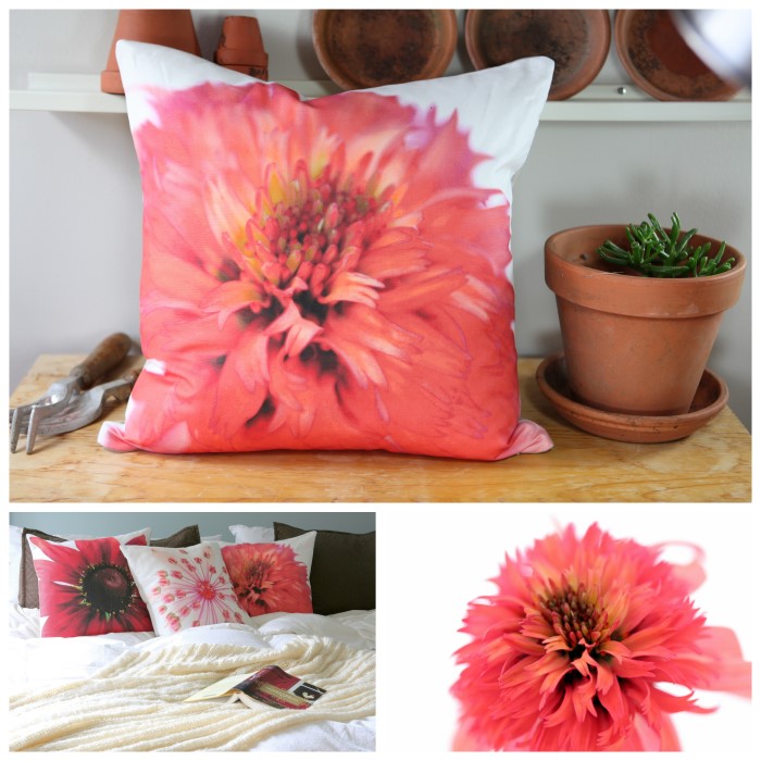 Echinacea Coral Double Coneflower printed on soft cotton linen blend fabric and made into throw pillows!