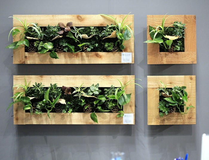 Living Wall Art