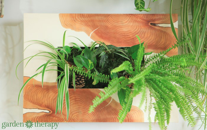 One-of-a-kind wood veneer wall planter from ByNature Studio Tour