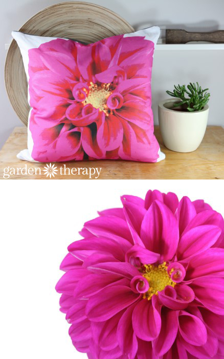 Pink Dahlia printed on soft cotton linen blend fabric and made into throw pillows!