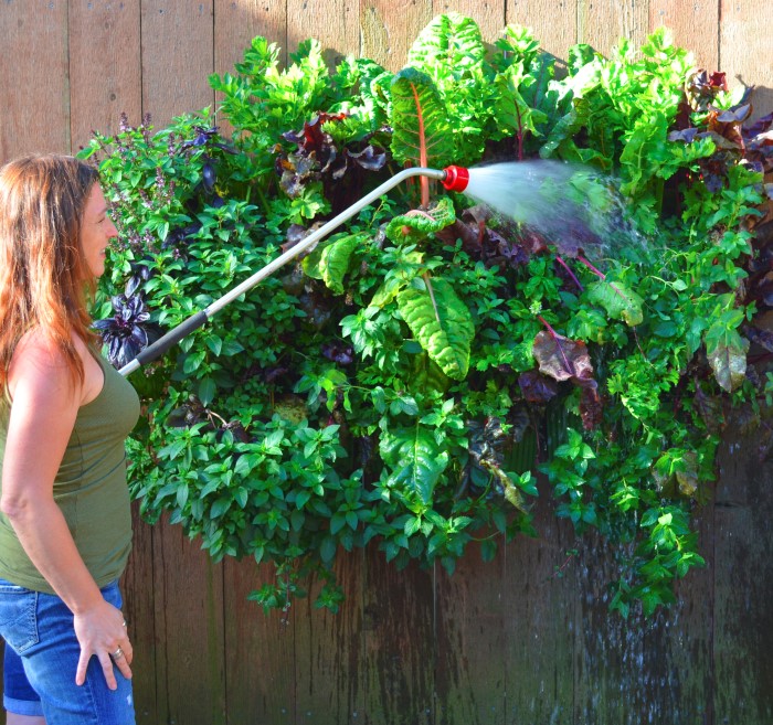 Shawna Coronado - Author of Grow a Living Wall shares How to Build a Vertical Garden