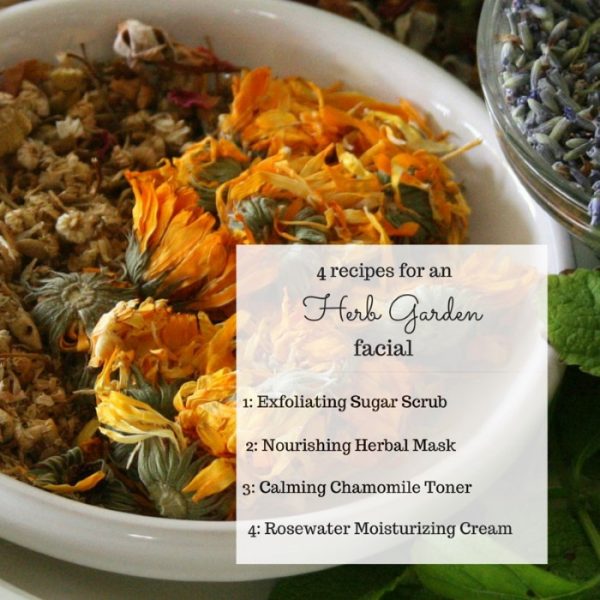 SkinRenewing Herb Garden Facial in Four Steps