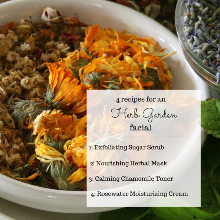 Use these 4 recipes to make a natural and healing garden herb facial