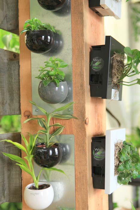 magnetic plant pots