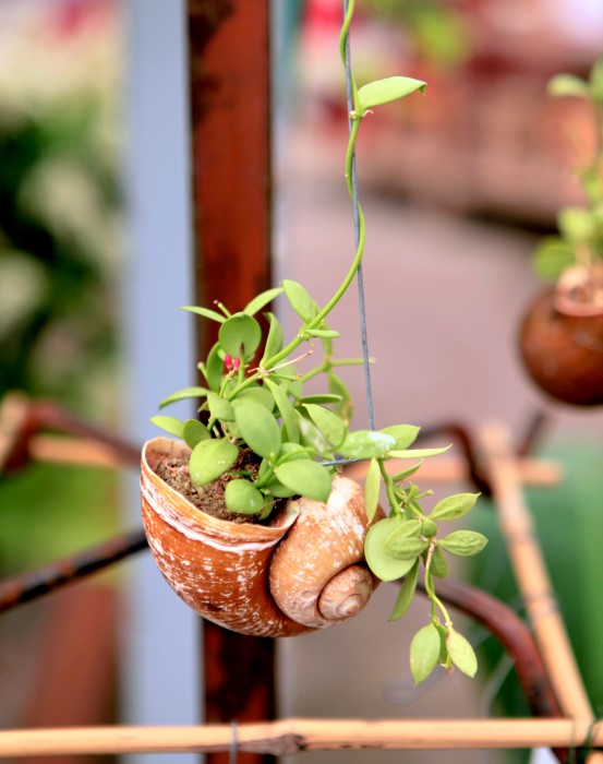 Adorable hanging seashell planter -so easy to make too