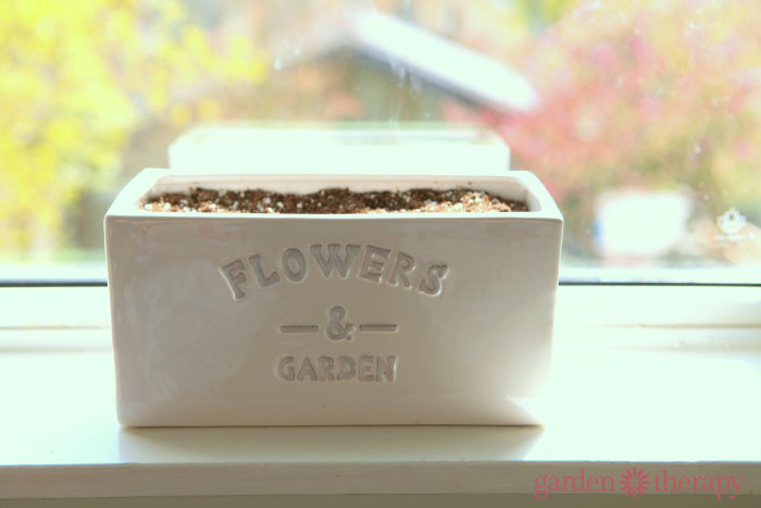 Flowers and Garden Planter from How to Make Lollipop Flowers