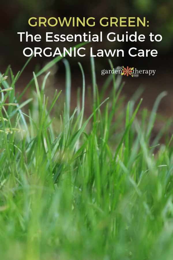 Essential Organic Lawn Care Guide How to Care for Your Lawn Naturally