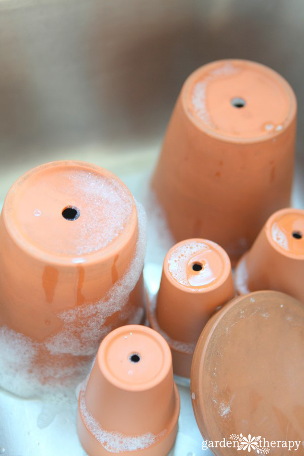 freshly washed terra cotta pots