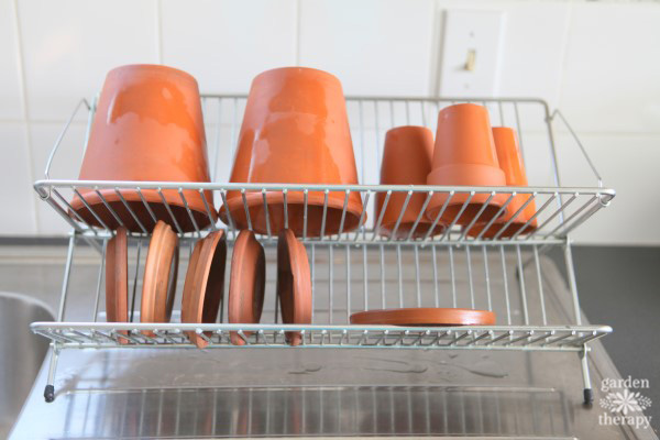 terracotta pots drying on dish rack