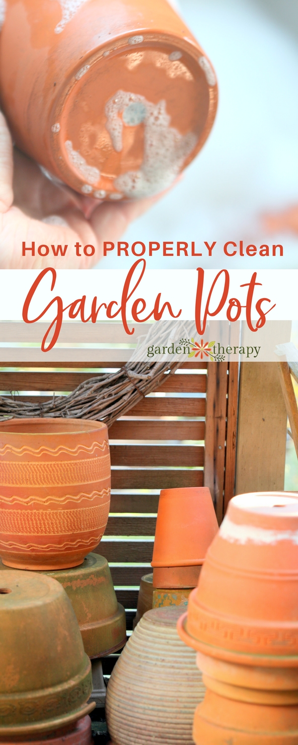 Garden pots can contain minerals, pests, bacteria, and fungus that can harm your plants before they even get a good start. Learn how to clean them properly. #gardentherapy #plantcare #flowerpot