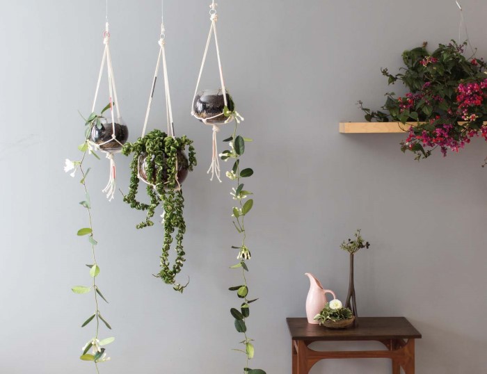 macrame plant holders as a homemade gift