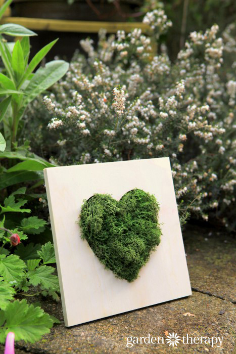 Moss Heart Wall Art 10 minute DIY Project