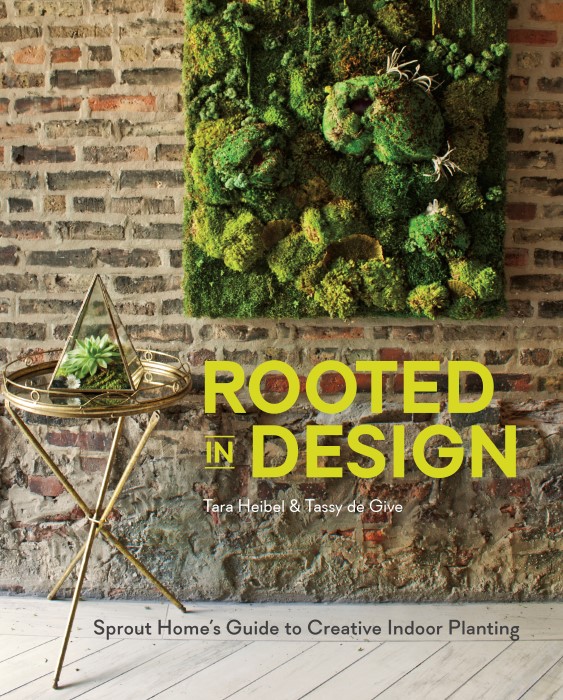 Rooted in Design Sprout Home's Guide to Creative Indoor Planting