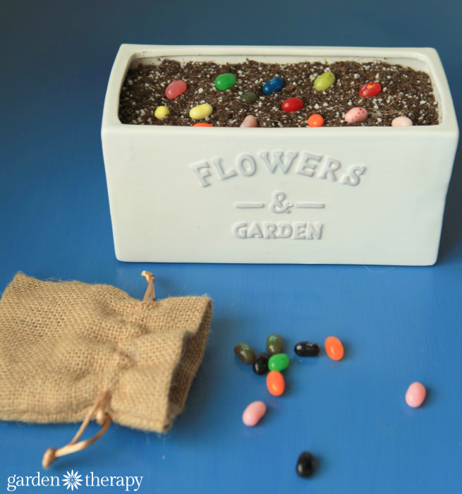 planting magic beans from How to Make Lollipop Flowers