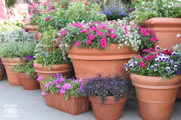 The Secrets to Successful Container Gardening