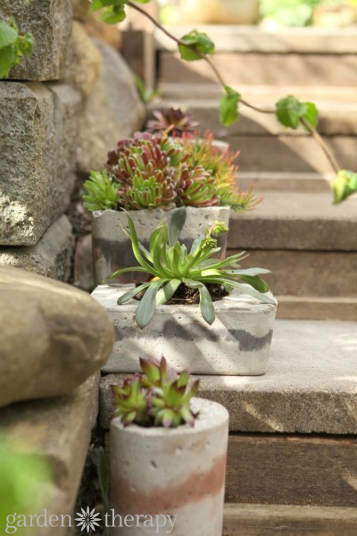 Projet de jardinières en béton du livre Garden Made