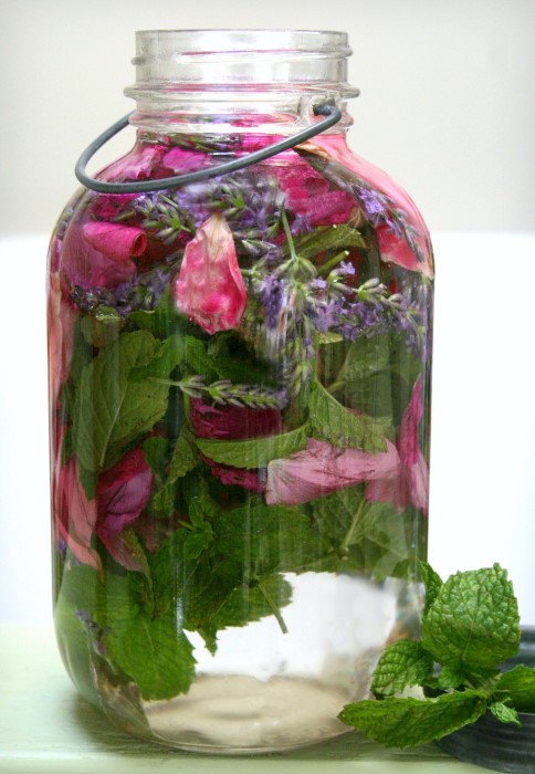 floral water infused with rose petals for beauty recipes