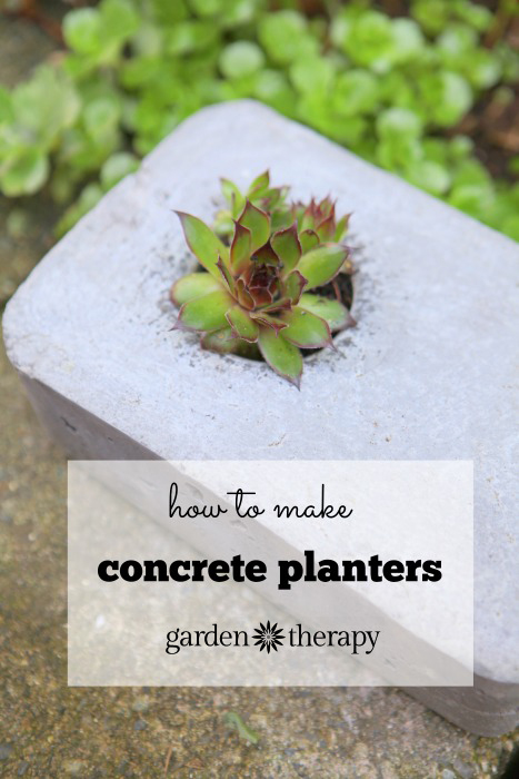 How to Make Concrete Planters