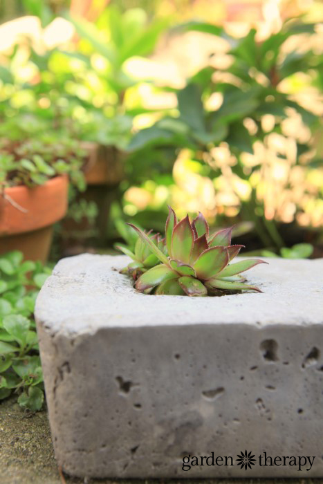 DIY betonnen tuinpot gemaakt met behulp van een mal