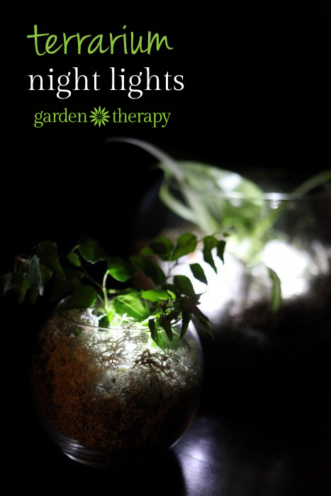 How to make a night light terrarium