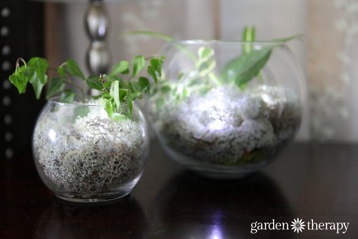 How to make night light terrariums