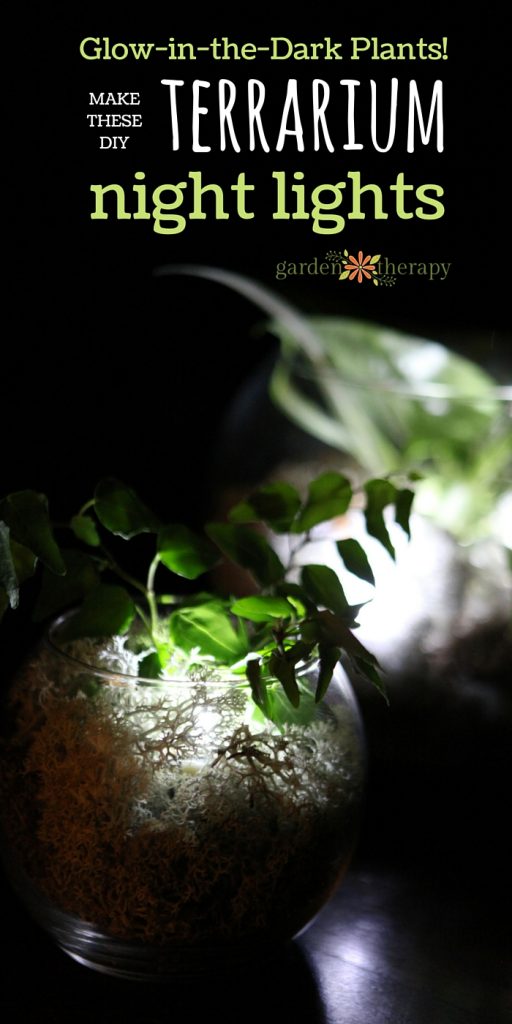 Make this unique glow-in-the-dark terrarium with real plants to use as a night light