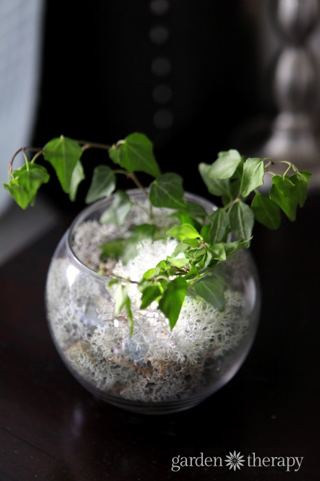 Use a waterproof LED light to make a nightlight terrarium