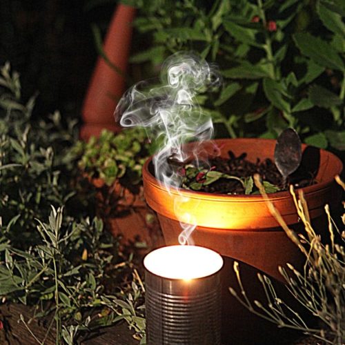 How to Make DIY Citronella Candles