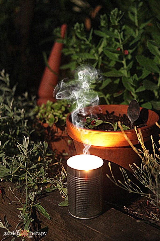 DIY Citronella candle as a way to get rid of bugs naturally