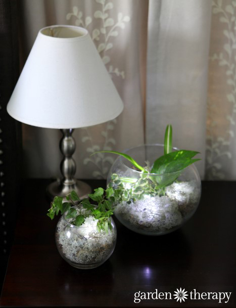 make nightlight terrariums