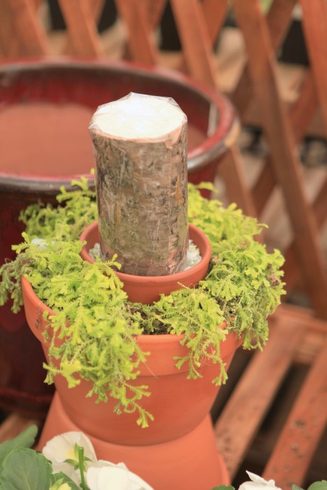 mossy candle planter idea