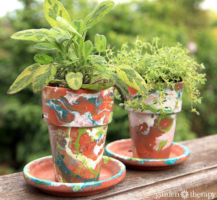 variegated sage and thyme in a DIY nail polish marbled terracotta garden pot