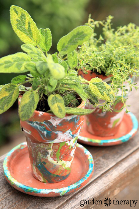 variegated sage in a DIY nail polish marbled terracotta garden pot