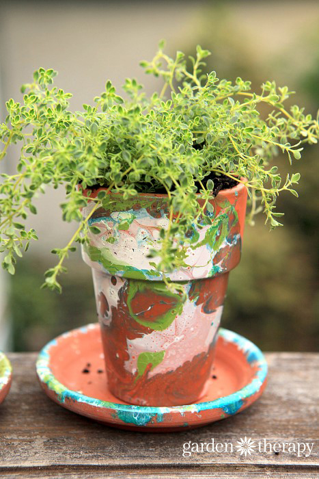 variegated thyme in a DIY nail polish marbled terracotta garden pot