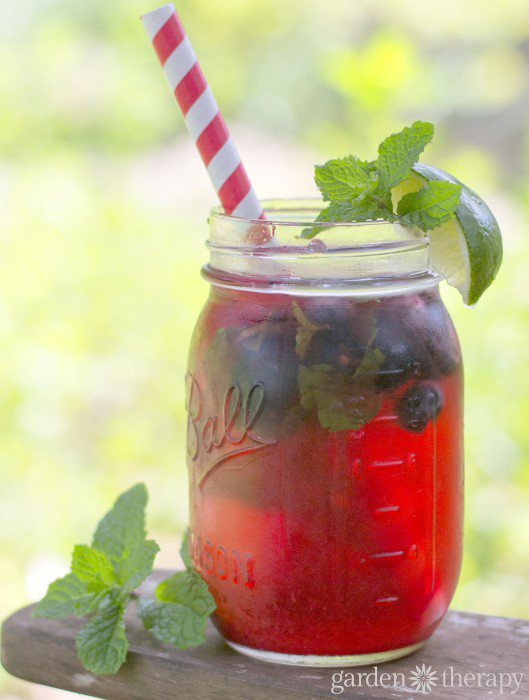 Beat the Heat with a Garden Fresh Cocktail - Triple Berry Fizz