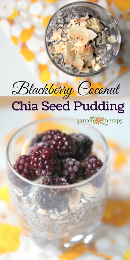 Blackberry Coconut Chia Seed Dessert